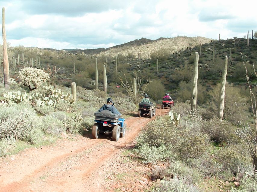 Box Canyon and Pinal Mountains Half-Day ATV Tour - Key Points