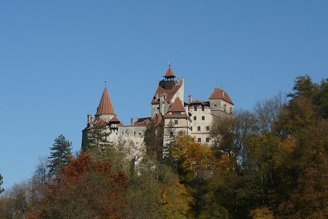 Bran Castle With Optional Bear Sanctuary From Brasov - Key Points