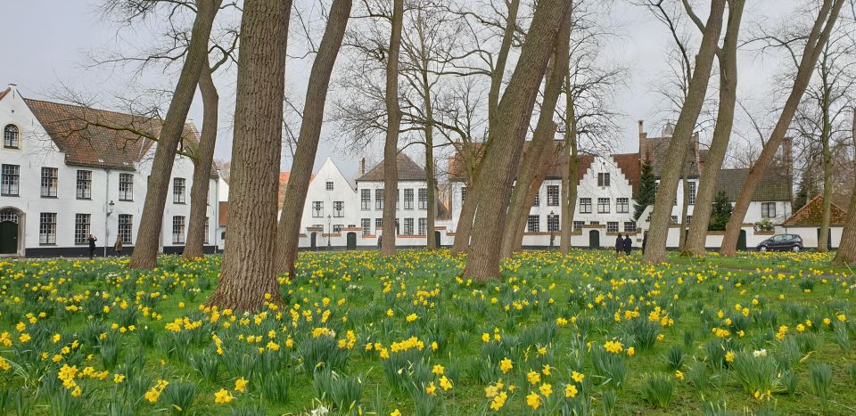 Bruges: 2.5-Hour Private Walking Tour - Key Points