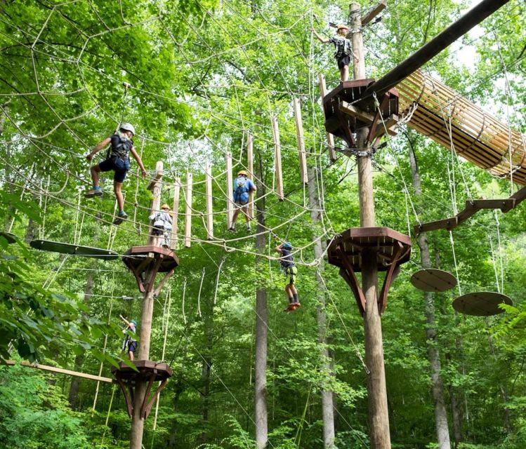 Bryson City: Zip Line Adventure Park Pass With Gear - Activity Overview