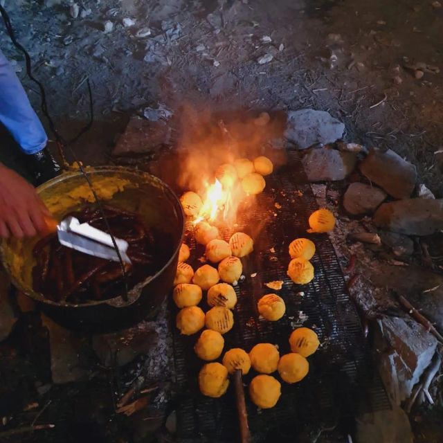 Bucharest: Horseback In the Nature and Traditional Lunch - Key Points