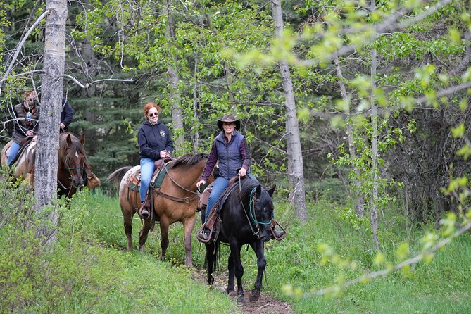 Buffalo Loop 1-Hour Horseback Trail Ride in Kananaskis - Key Points