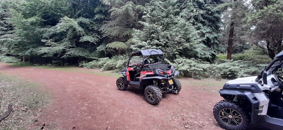 Buggy Off-Road Madeira - Key Points