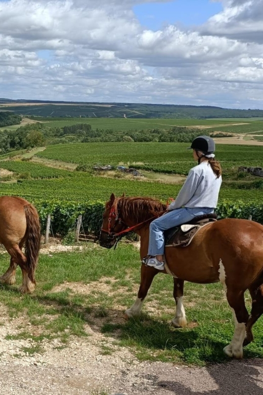 Burgundy: Horse Riding Tour in Chablis - Key Points