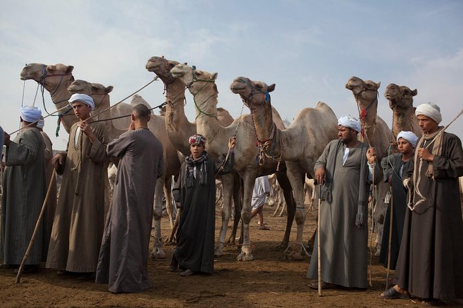 Cairo Unusual Day Tour Visit Camel Market in Birqash - Key Points