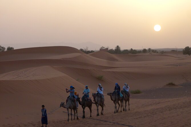 Camel Ride - Location and Meeting Point