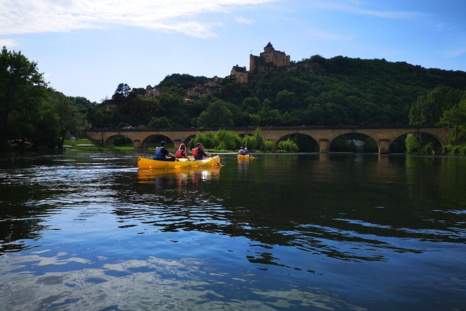 Canoe Butterfly - Key Points