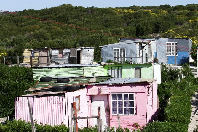 Cape Town Township Tour Including Robben Island - Walk to Freedom Tour - District Six Museum History