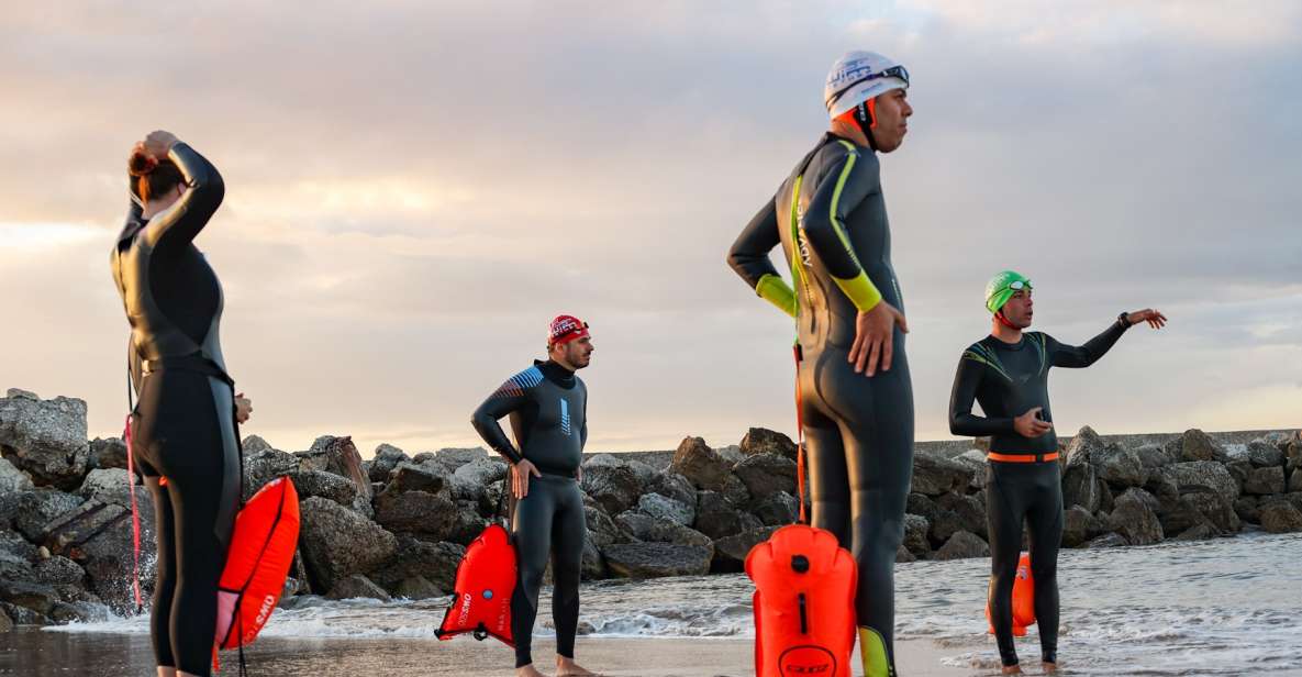 Cascais: Open Water Swimming - Key Points