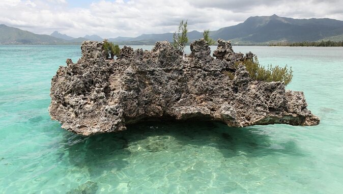 Catamaran Cruise to Ile Aux Bénitiers: Dolphin Watch, Crystal Rock & Transfer - Key Points