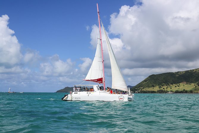 Catamaran Cruise to Ile Aux Cerfs - Key Points