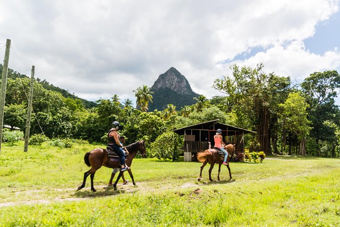 Catamaran Day Trip to Soufriere for Cruise Ship Passengers - Overview of the Catamaran Excursion