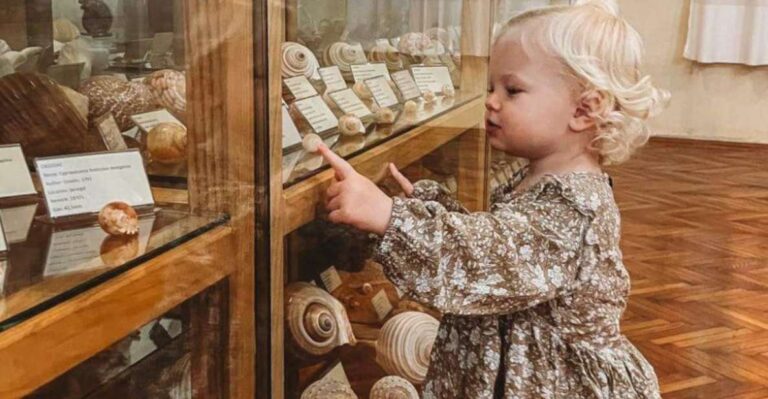 Cavtat: Experience Wonder Of The Ocean At The Shell Museum Ticket Details