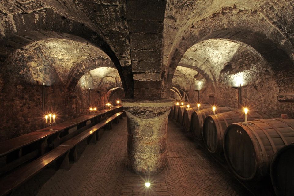 Cellar Discovery Tour Oldest Wine Cellar in Germany - Key Points