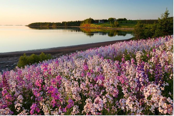 Central PEI Winery, Brewery, and Distillery Tasting Tour DE' Force - Key Points