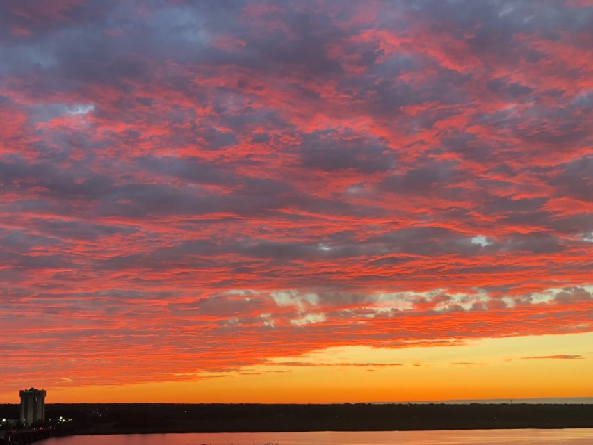 Charleston: Harbor Bar Pedal Boat Party Cruise - Key Points