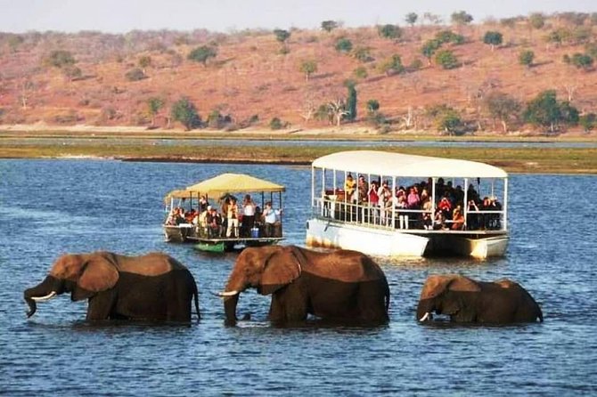 Chobe Safari Day Trip From Livingstone - Key Points