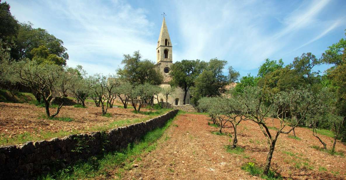 Churches of Provence & French Countryside Private Tour - Key Points