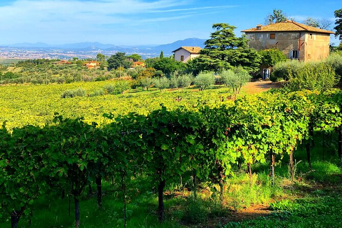 Classic Half-Day Wine Tour in Frascati With Lunch - Key Points