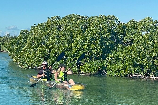 Clear Bottom Kayak Mangrove Eco Tour - Key Points