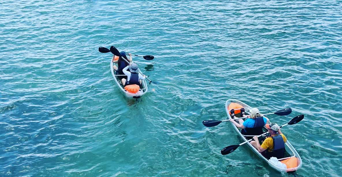 Clearwater: Guided Clear Kayaking Tour - Key Points