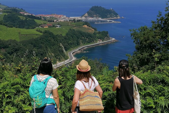 Coastal Winery Camino Trail Walking Tour From San Sebastian - Key Points