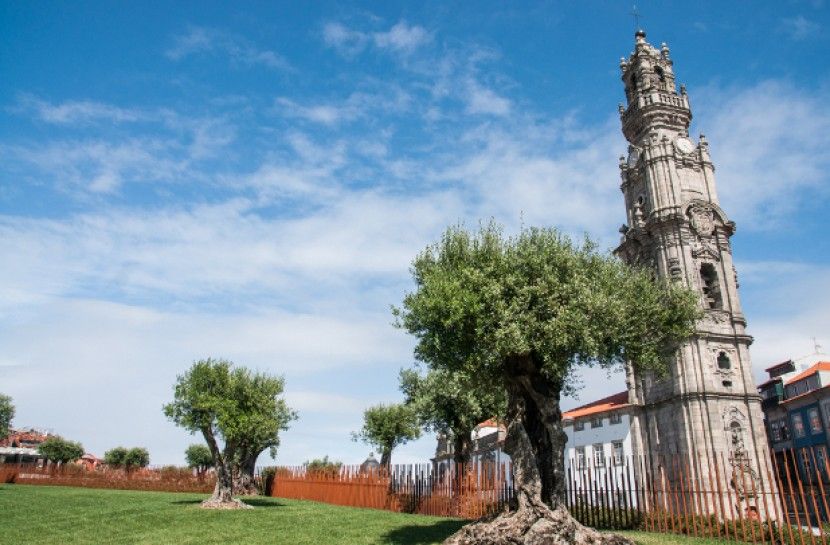 Combo: Porto City Half-Day Tour & Aveiro Half-Day Tour - Key Points