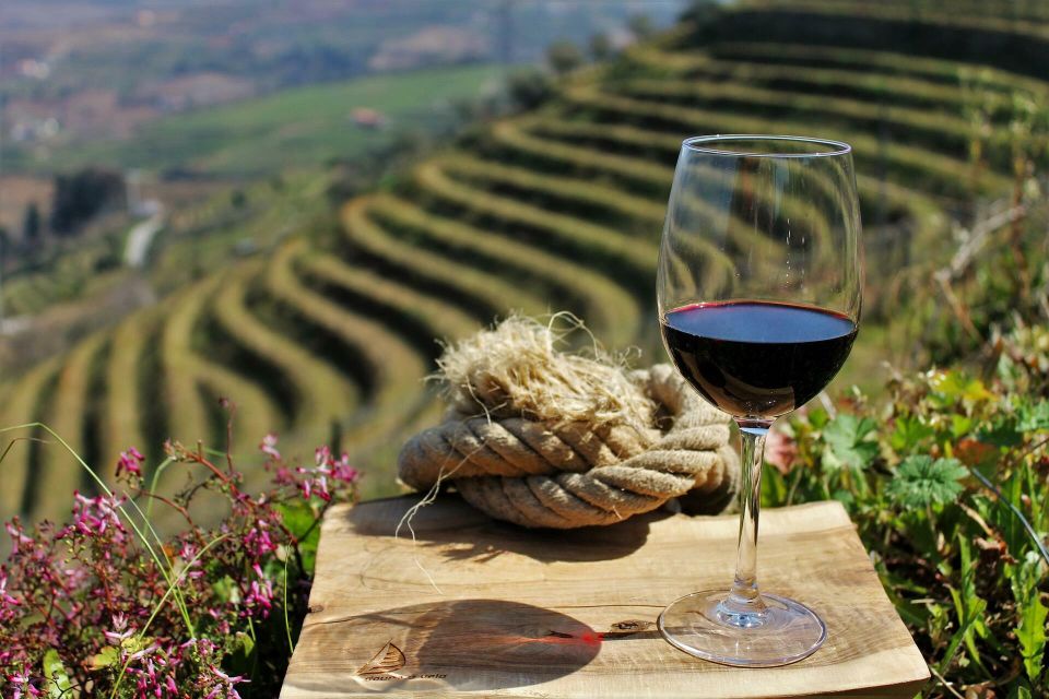 Complete Douro Valley Tour - Visit to 3 Wineries & Lunch - Key Points