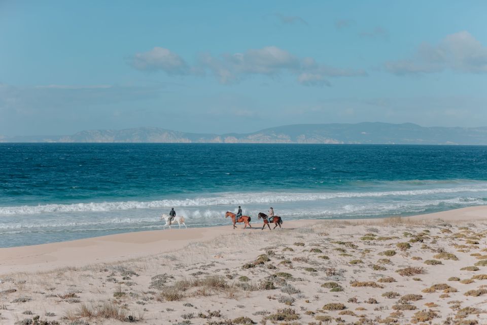 Comporta: Guided Horseback Riding Experience - Activity Overview