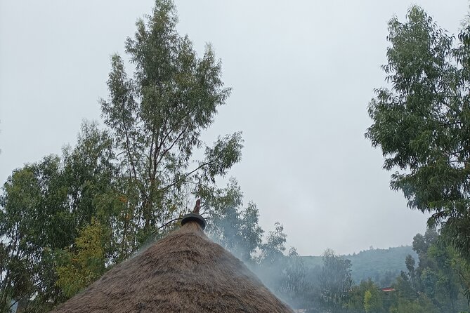 Cooking a Diversity of Ethiopia Food; Enjoy the Rular Area Life &Coffee Ceremony - Key Points