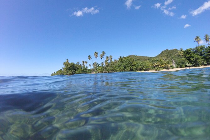 Coral Reef Snorkel Adventure With Photos and Videos - Discover Underwater Marvels