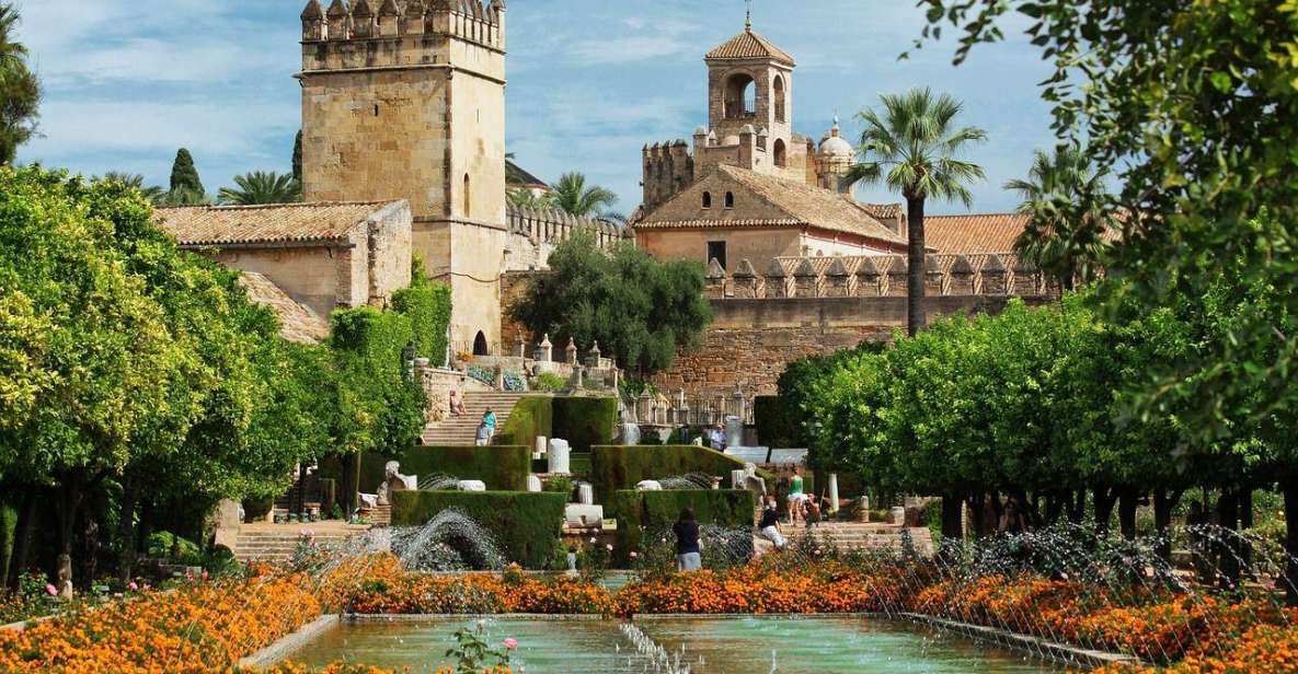 Cordoba Private Guided Walking Tour - Key Points