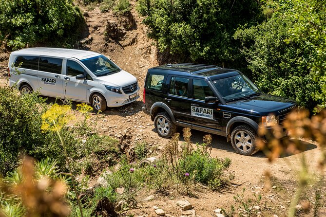 Corfu 4x4 Full-Day Safari Adventure by Experiences Net - Key Points