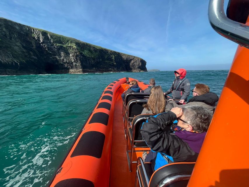 Cornwall: Guided Seal and Puffins Safari by Boat - Key Points