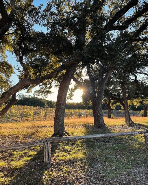 Cost-Effective Texas Hill Country Wine and Brewery Tour - Key Points