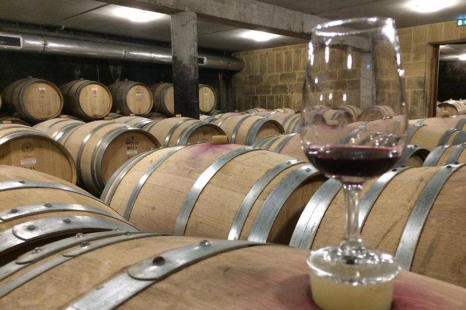 Cotes Du Rhone Wine Tour (9:00 Am to 5:15 Pm) - Small Group Tour From Lyon - Key Points