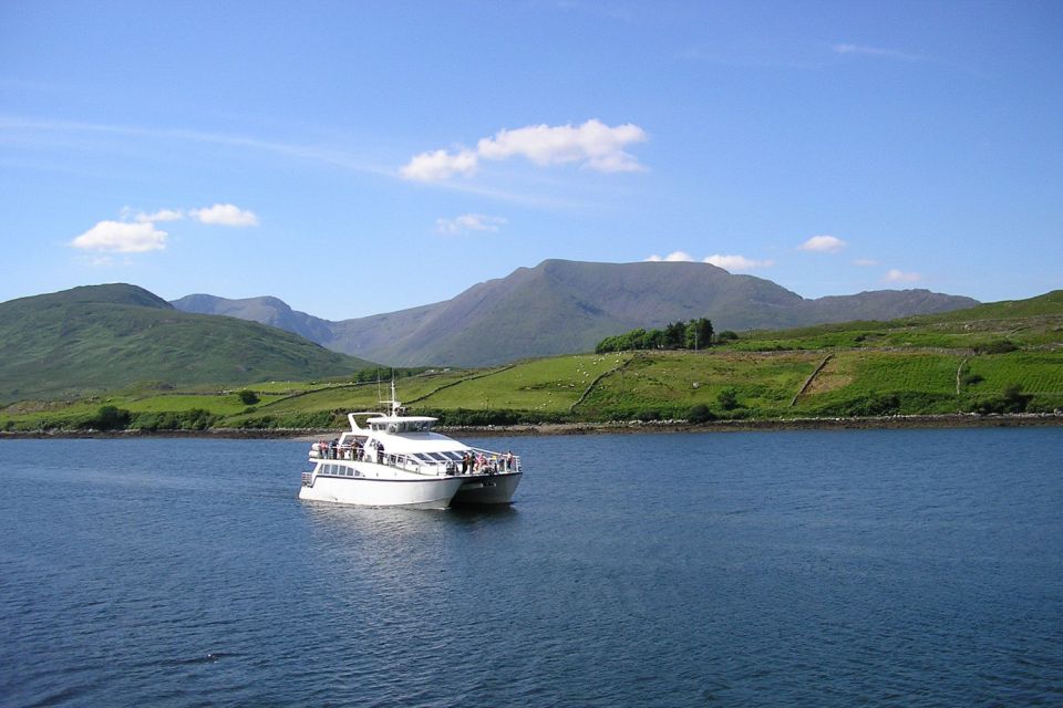 County Galway Killary Fjord 1.5-Hour Sightseeing Cruise - Key Points