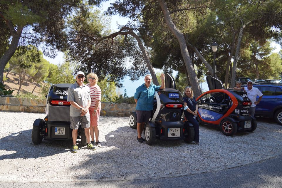 Cruise Terminal Pickup. Malaga in 2 Hours by Electric Car - Key Points