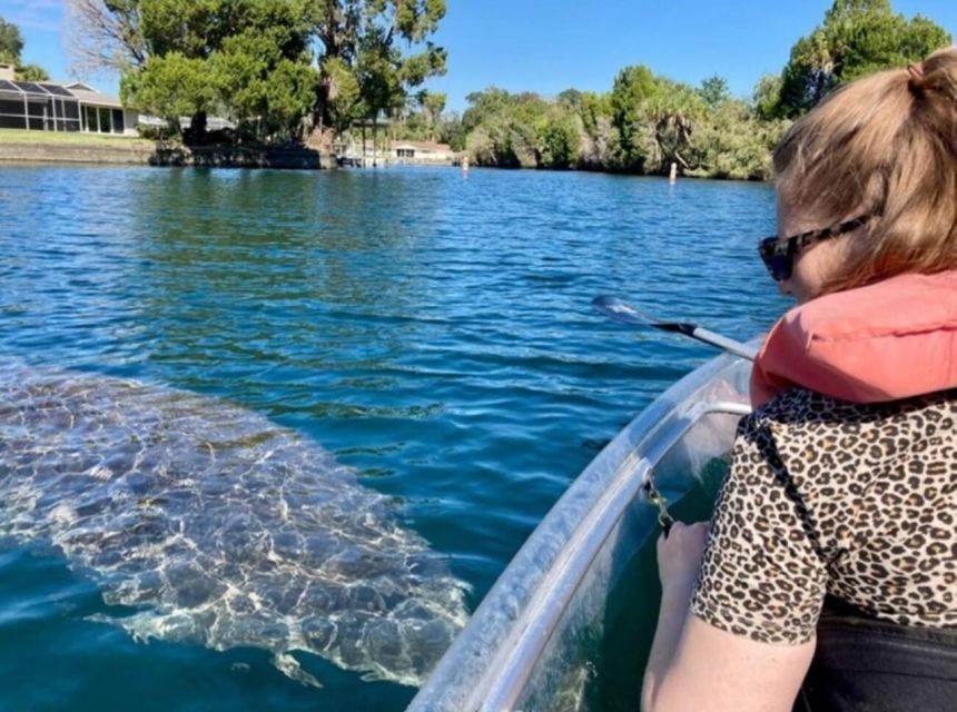 Crystal River: Clear Kayak Manatee Ecotour - Key Points