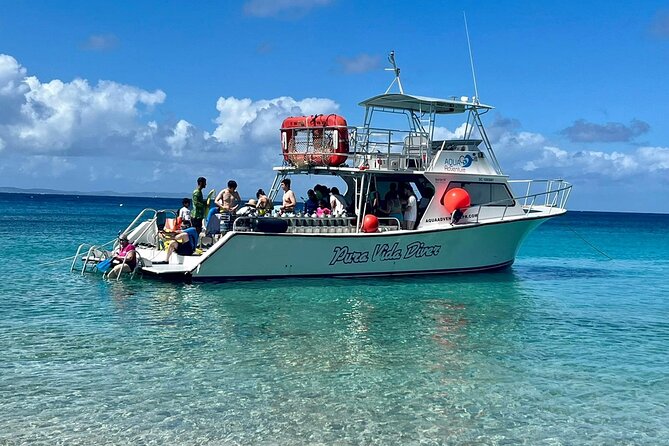 Culebra Snorkeling Day Experience - Overview of the Guided Snorkeling Adventure