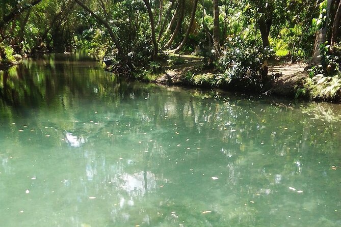 Damajagua the 7 Waterfalls Excursion - Amber Cove & Taino Bay - Overview