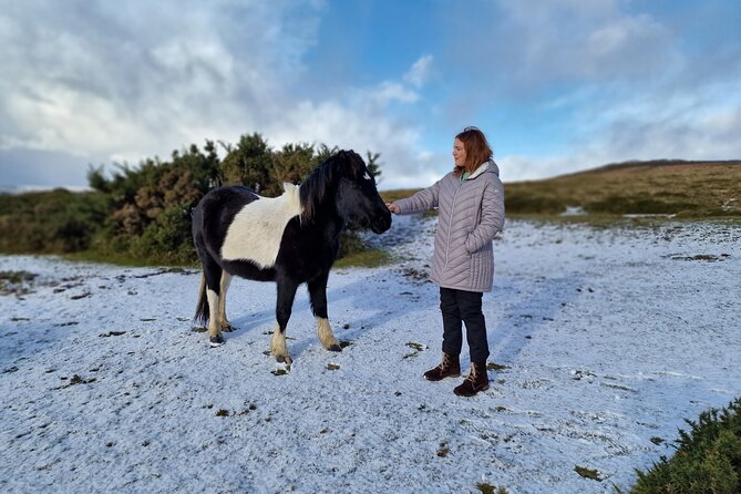 Dartmoor Tour in Luxury Mercedes 7 X Seater - Key Points