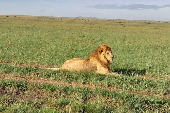 Day Tour To Amboseli National Park From Nairobi - Key Points