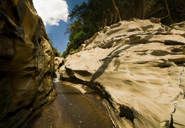 Day Tour To Hells Gate National Park and Optional Boat Ride on Lake Naivasha. - Key Points