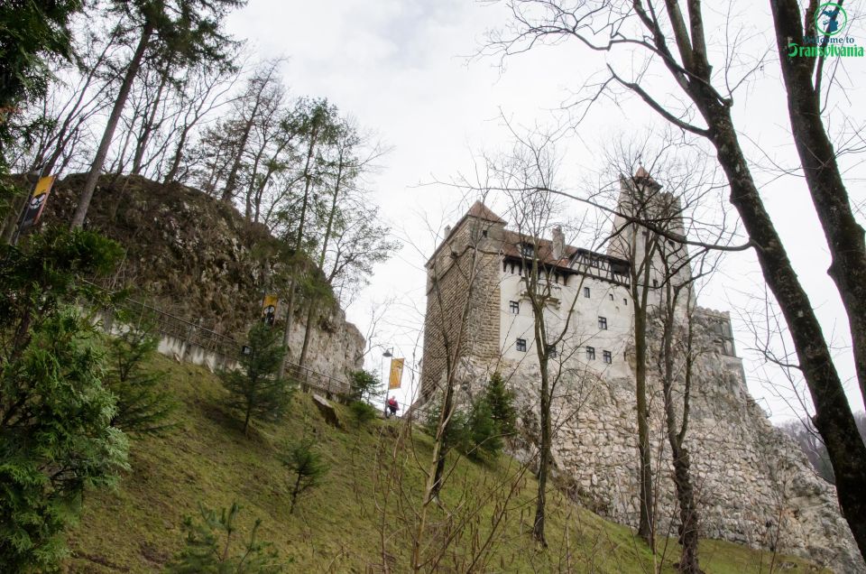 Day Trip Bran Castle, Rasnov Fortress and Bear Sanctuary - Key Points