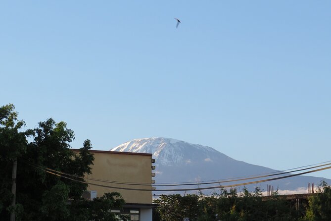 Day Trip to Kilimanjaro National Park - Key Points