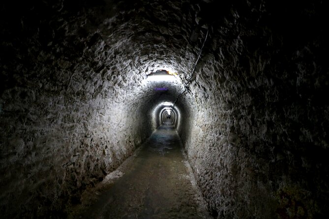 Day Trip to Turda Salt Mine and Corvin Castle From Timisoara - Inclusions