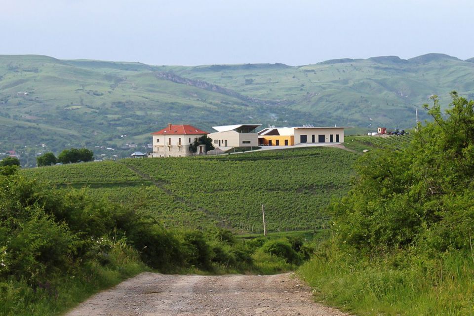 Dealu Mare Wineries: Wine Tasting Tour on the Old Wine Road - Key Points