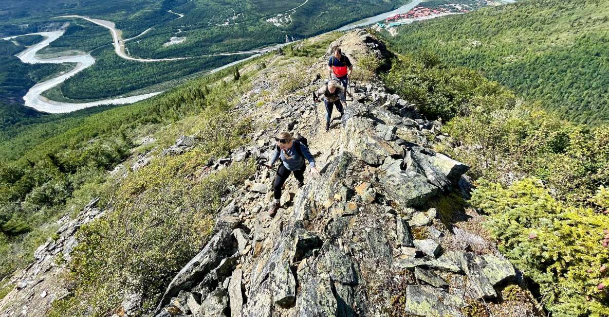 Denali: 5 Hour Guided Into The Mountains Hiking Tour - Key Points