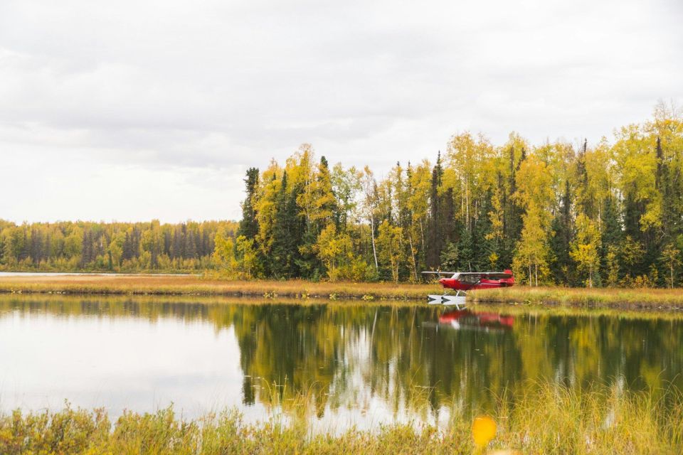 Denali: National Park Guided Tour With Healy Visit - Key Points